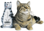 Cat Metronome Animals