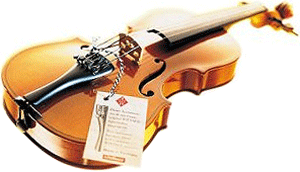 Wittner Violin